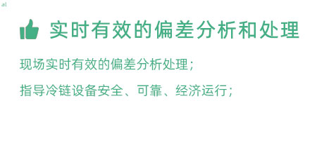 實(shí)時(shí)有效的偏差分析和處理：實(shí)時(shí)有效的偏差處理； 指導(dǎo)冷鏈設(shè)備安全、可靠、經(jīng)濟(jì)運(yùn)行；